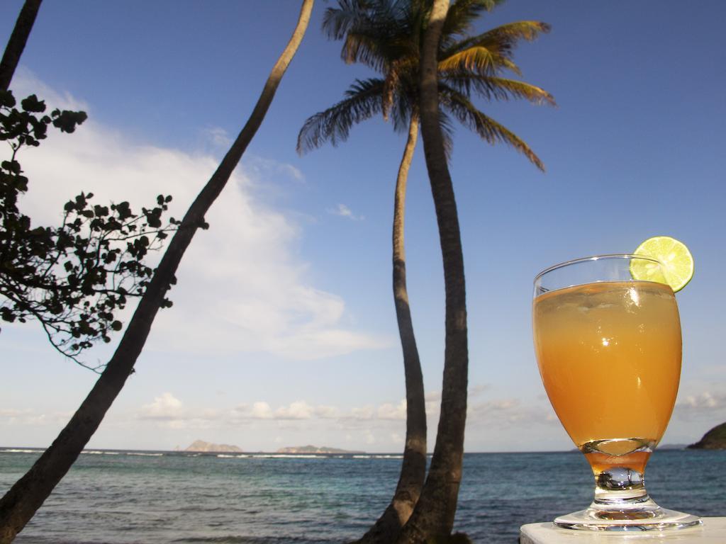 Sugar Reef Bequia - Adults Only Otel Saint Vincent Dış mekan fotoğraf